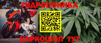 молекула духа Комсомольск-на-Амуре
